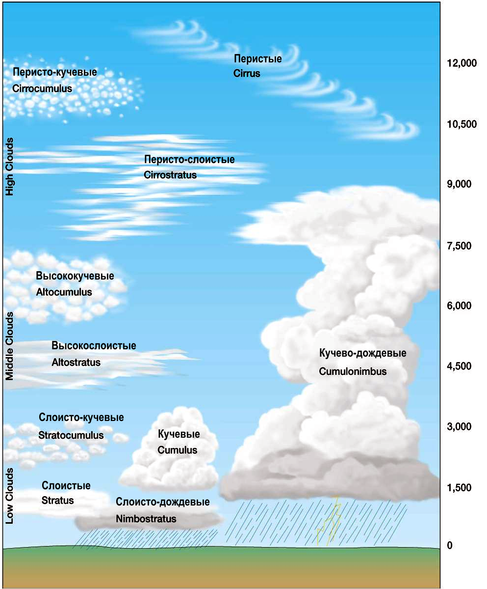 Расстояние между облаками. Облака бывают Кучевые перистые и. Виды облаков. Абак виды. Виды облаков схема.