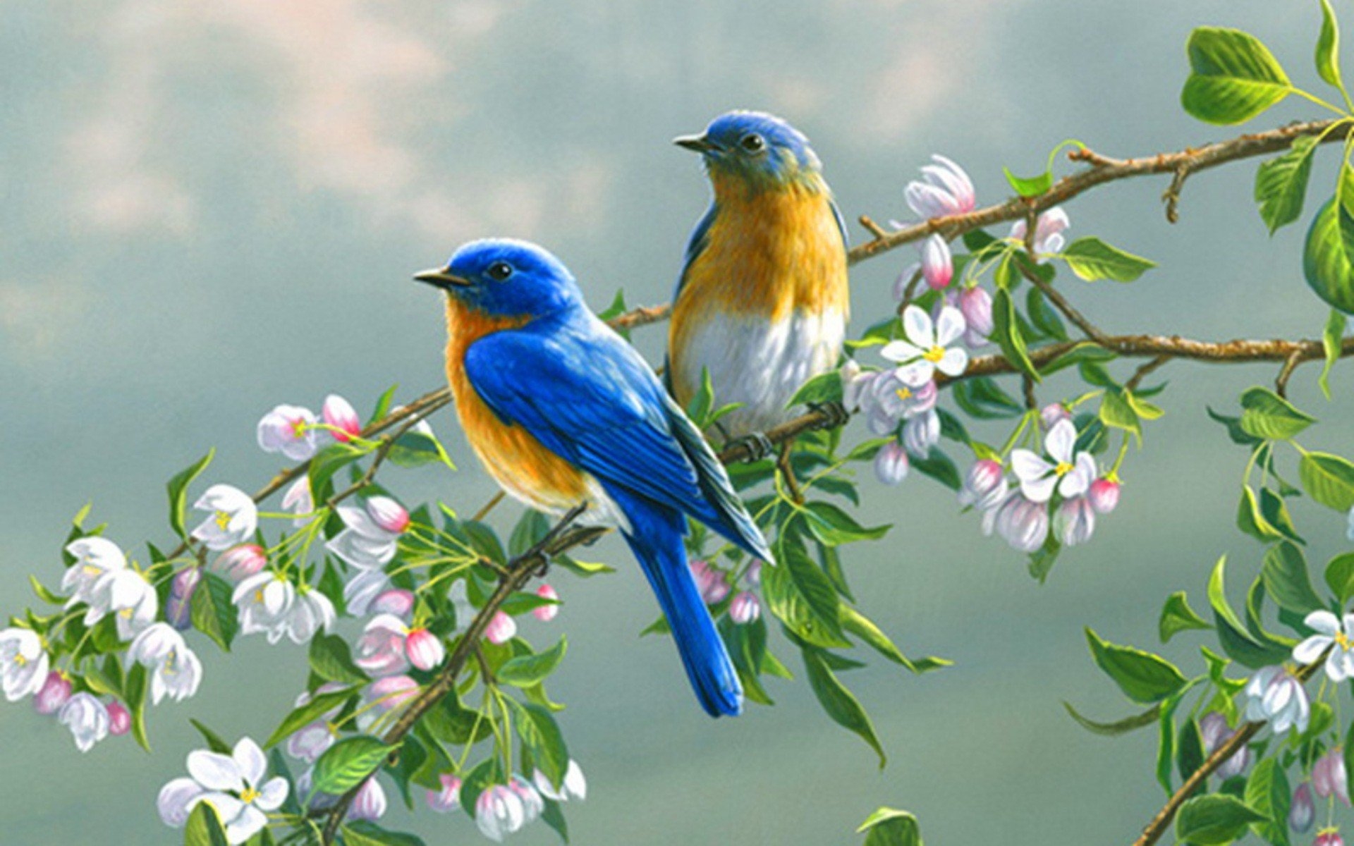 Птицы рисунок Изображения – скачать бесплатно на Freepik