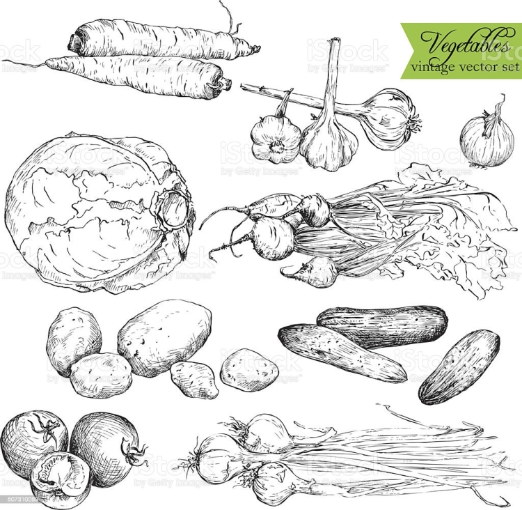 Овощи иллюстрация