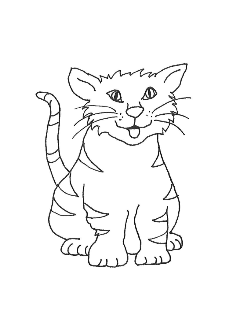 Раскраска барсик кот