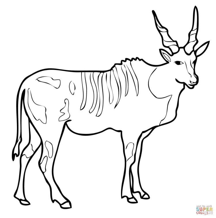 Раскраска антилопа