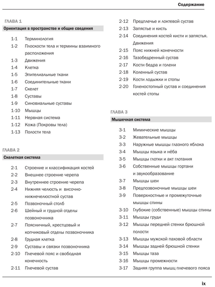 Неттер анатомический атлас
