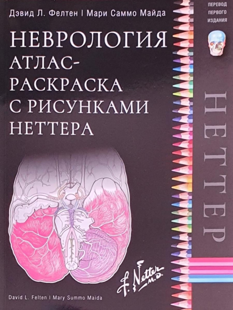 Атлас раскраска по анатомии Неттера