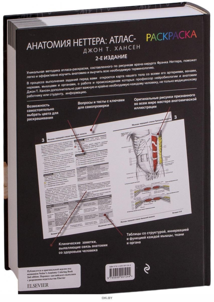 Джон Хансен анатомия Неттера атлас-раскраска