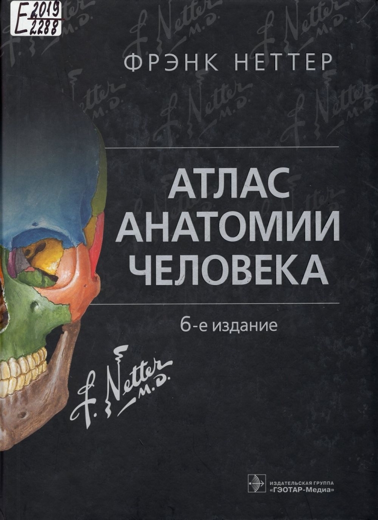 Анатомия человека атлас раскраска Уинн Кэпит