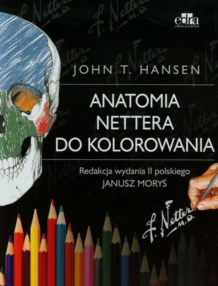 Лёгкие анатомия человека атлас