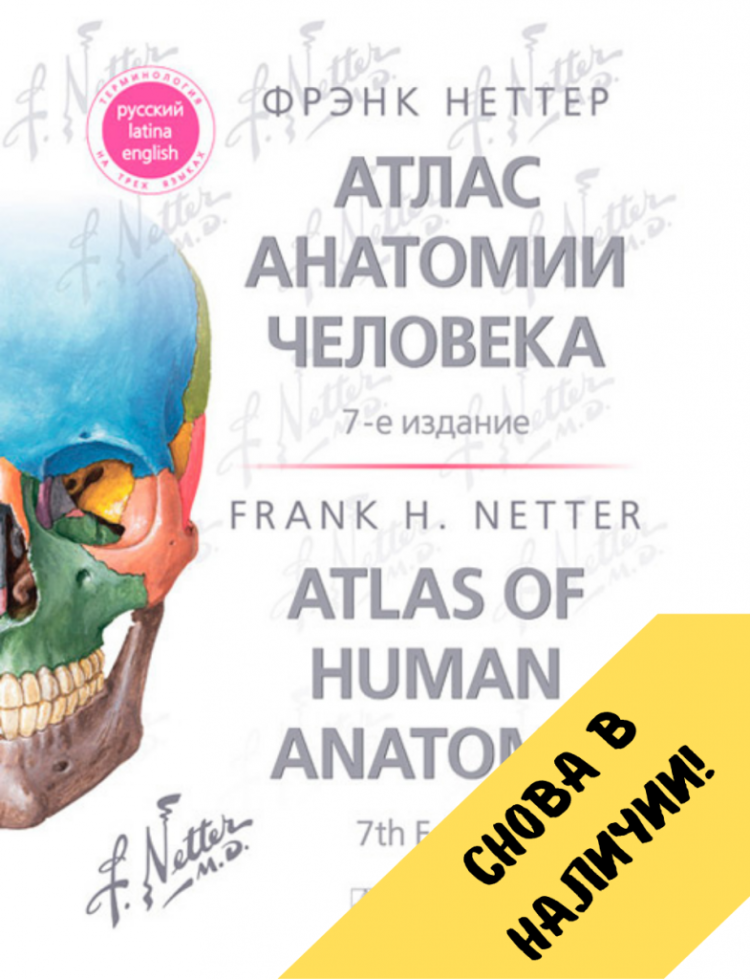 Анатомия человека атлас раскраска Уинн Кэпит