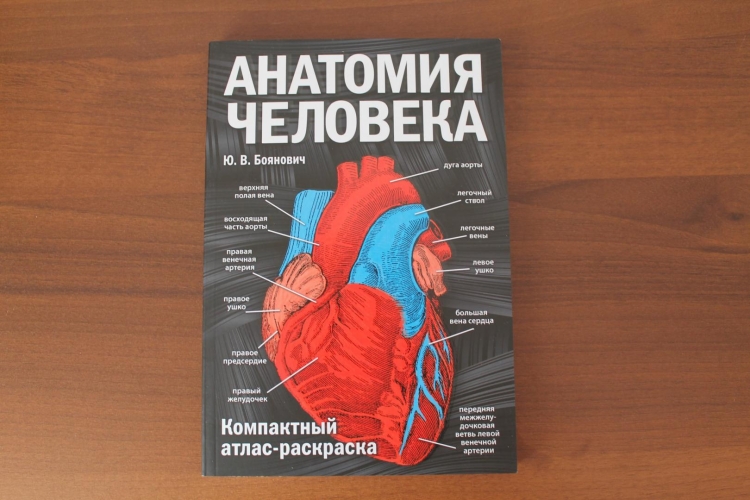 Фрэнк Неттер атлас
