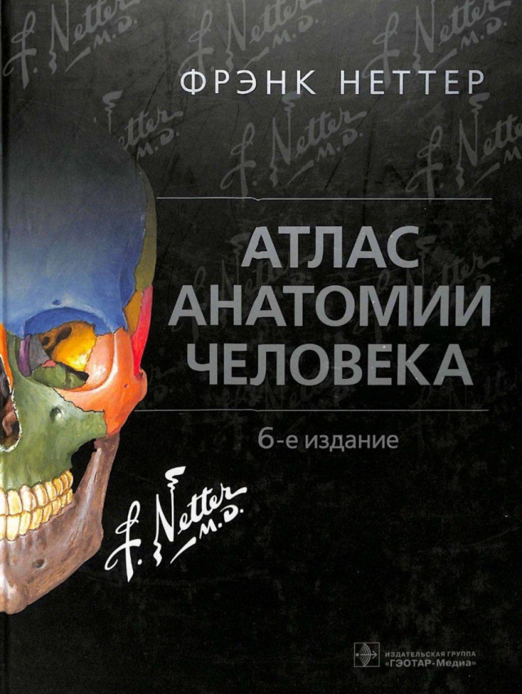 Фрэнк Неттер атлас
