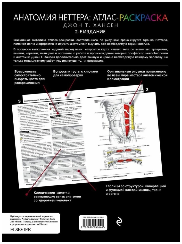 Неврология. Атлас с иллюстрациями Неттера