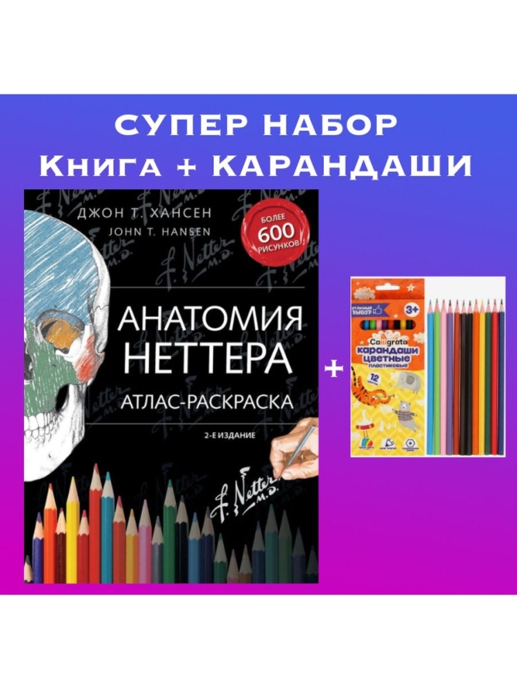Неврология. Атлас с иллюстрациями Неттера, Издательство Панфилова