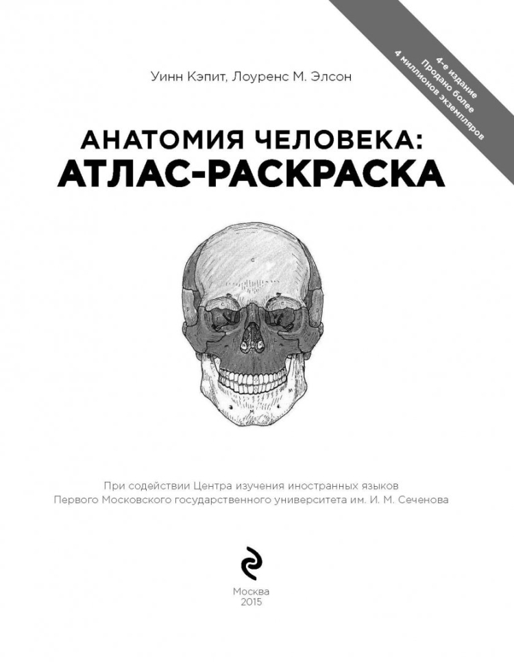 Атлас анатомии человека Неттер 7 издание