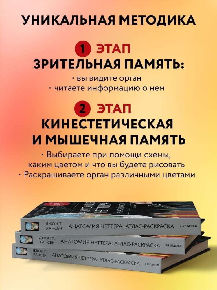 Височная кость атлас Неттера