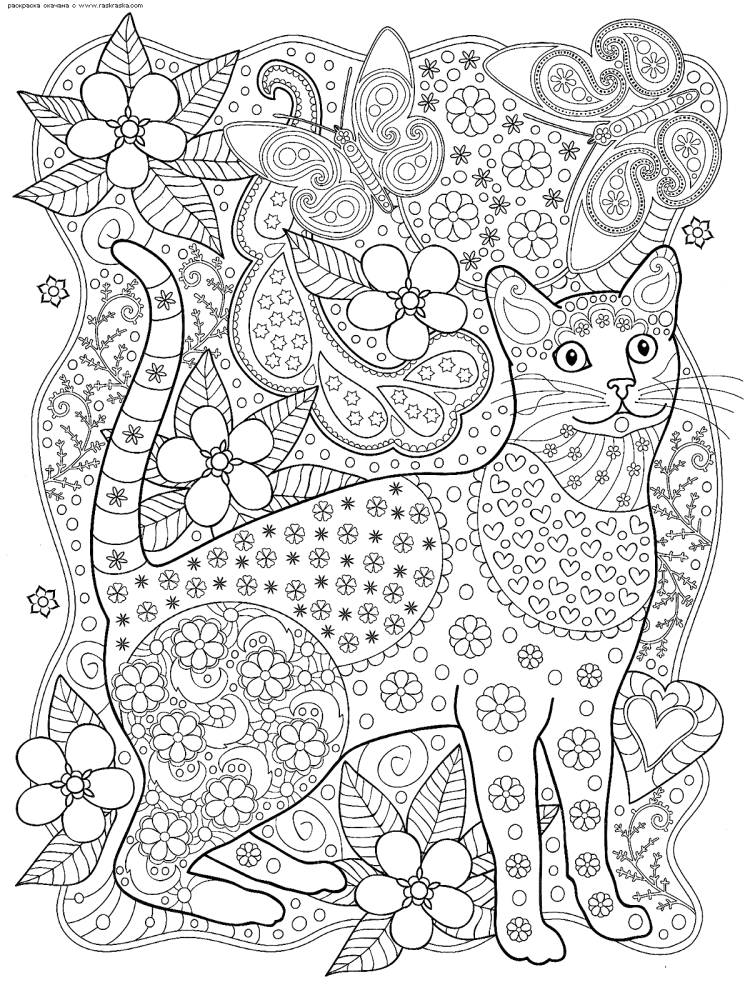 Картина кошка раскраска
