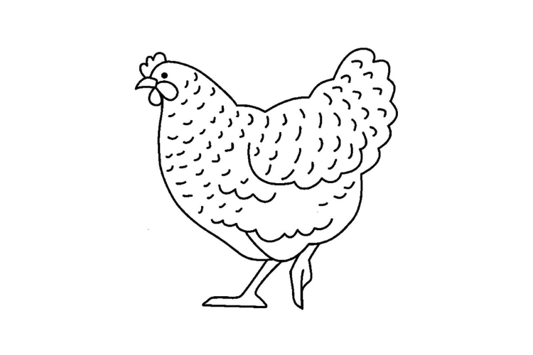 Курица раскраска
