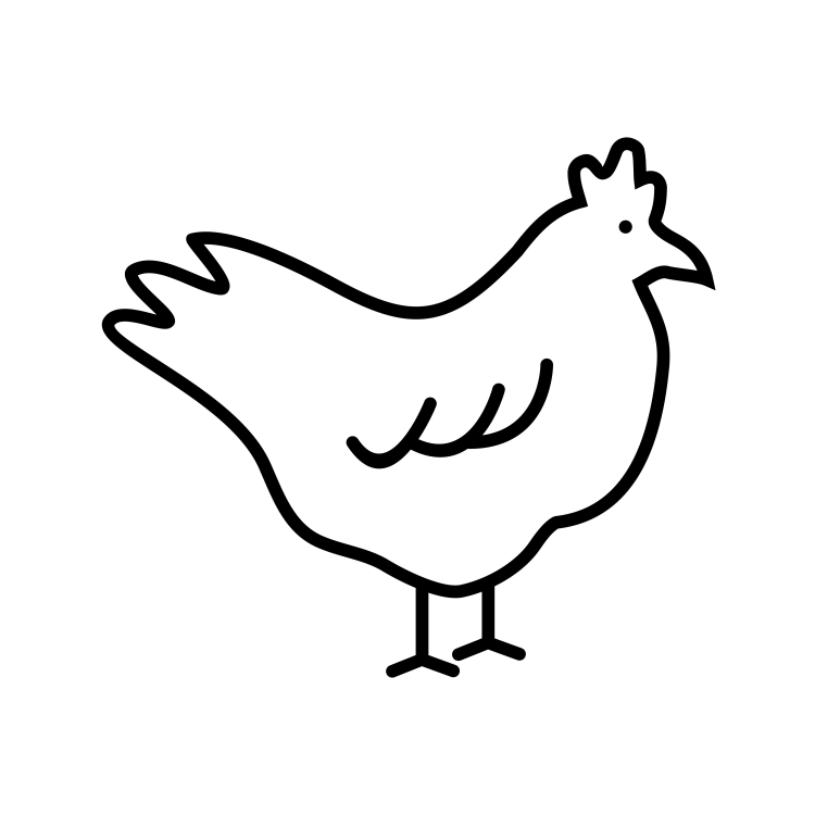 Курица вектор