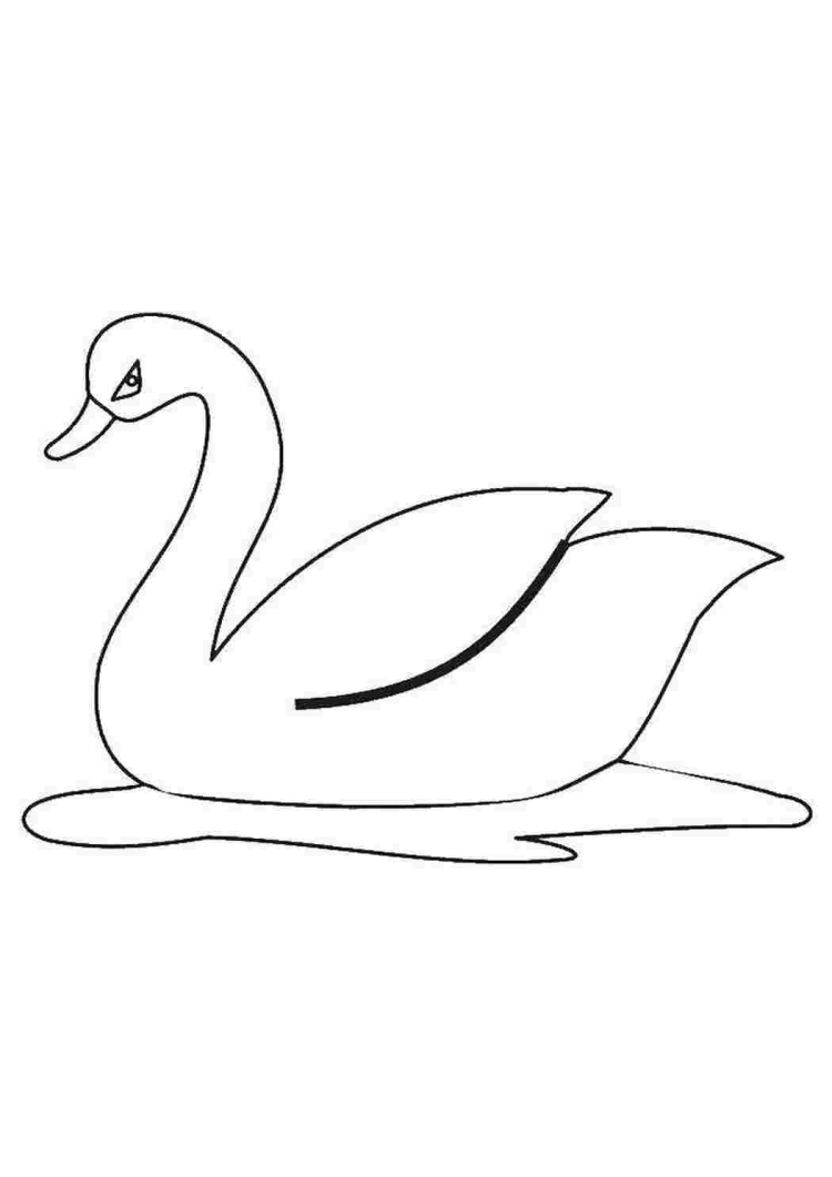 Лебедушка рисунок карандашом