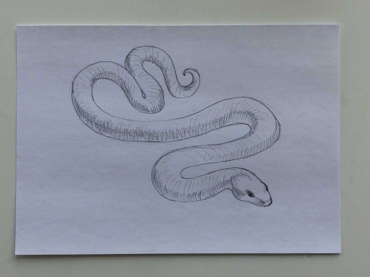 Рисунок змеи