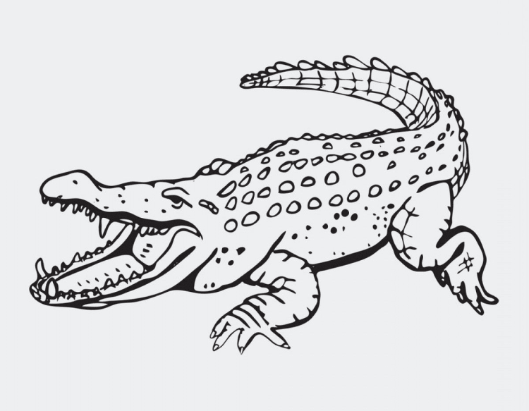 Трафарет крокодил