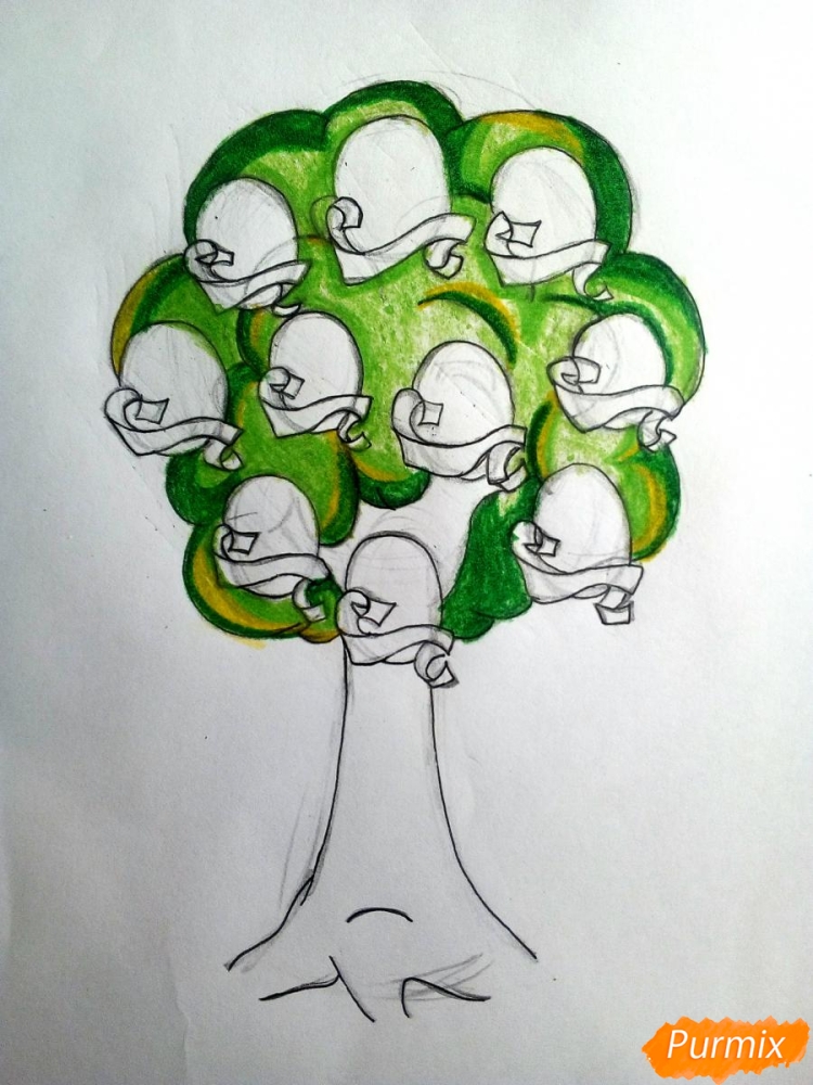 Родословное дерево рисунок карандашом