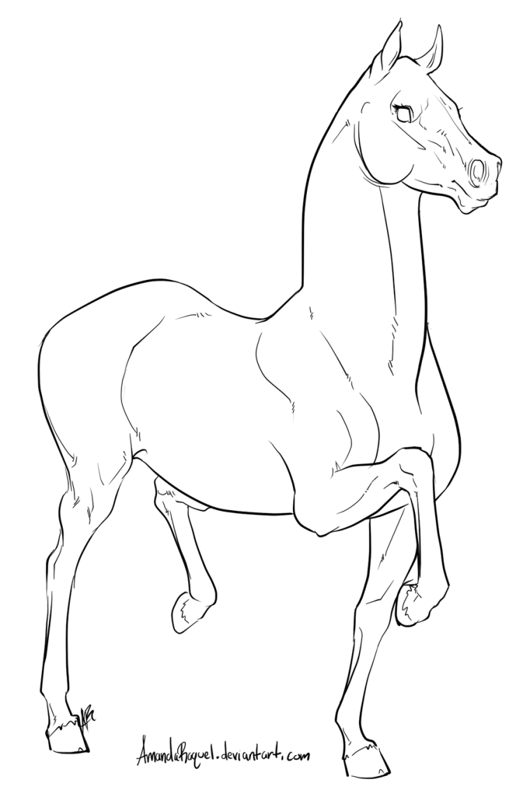 Легкий рисунок коня