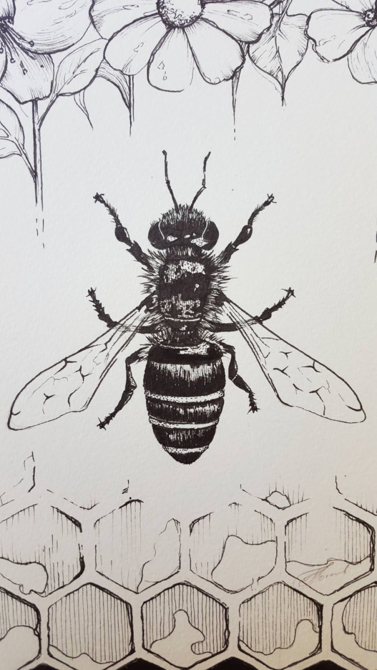 Рисунок пчелки карандашом