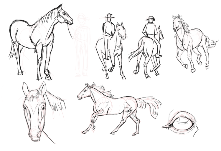 Легкие рисунки лошади