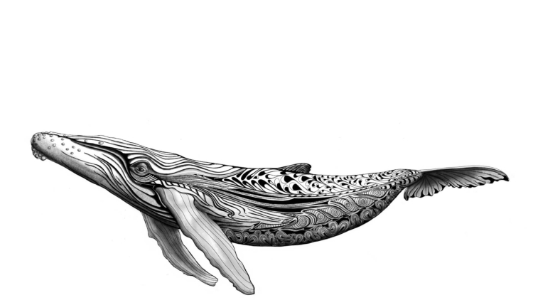 Кит рисунок