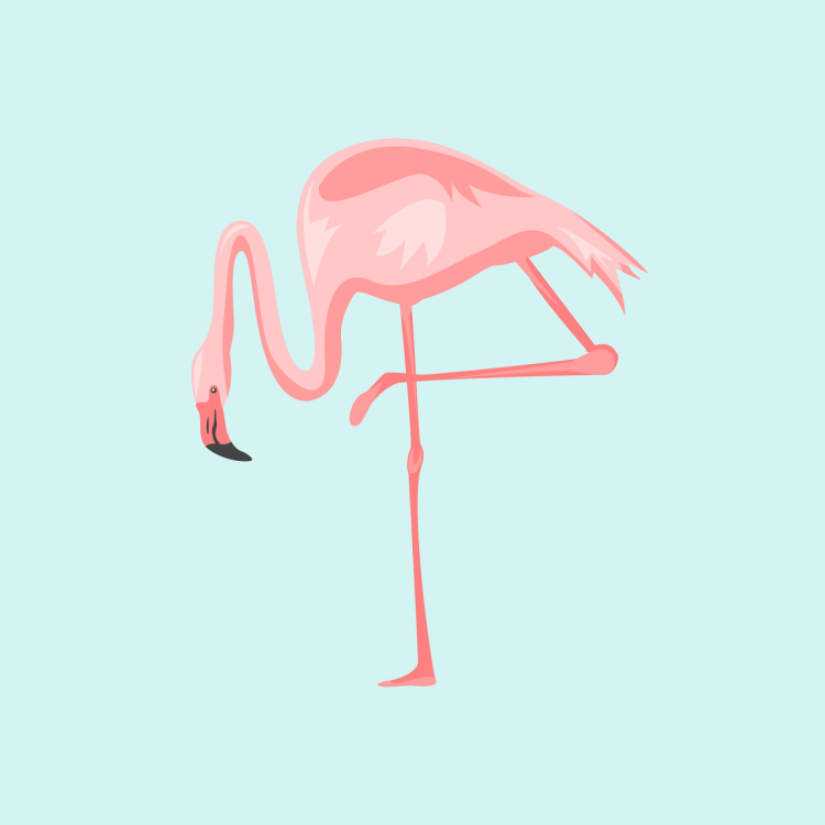 Рисунки фламинго легкие