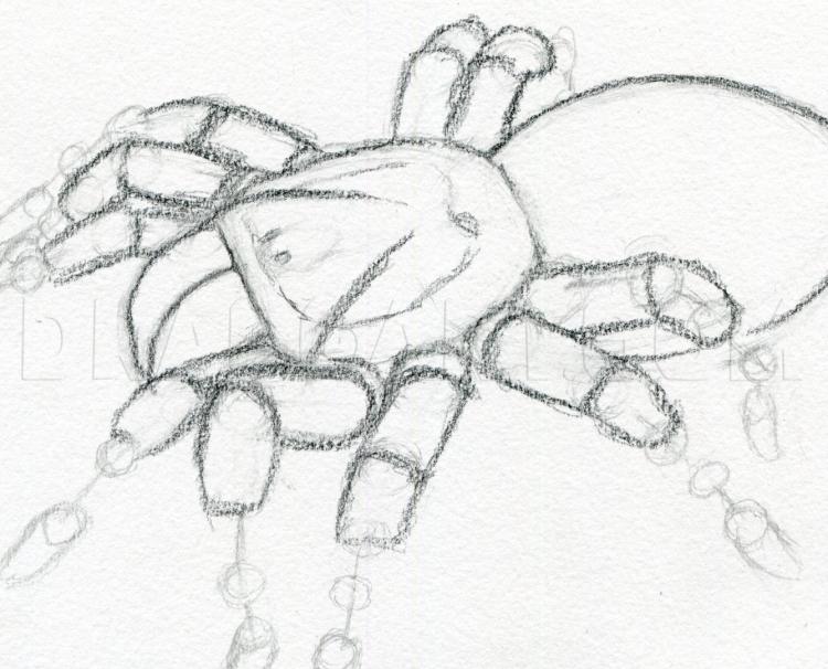 Легкие рисунки паука