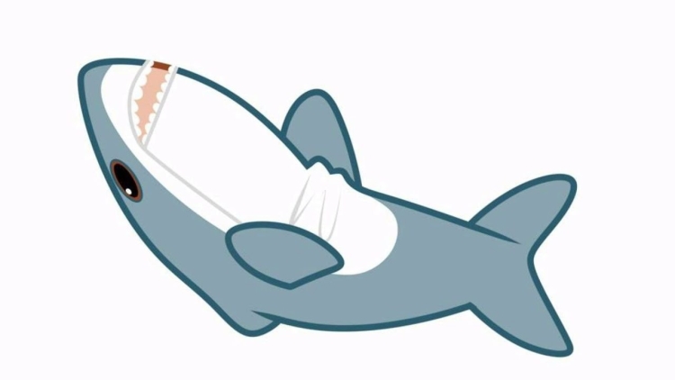 Акуленок рисунок