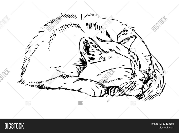 Котик клубочком рисунок