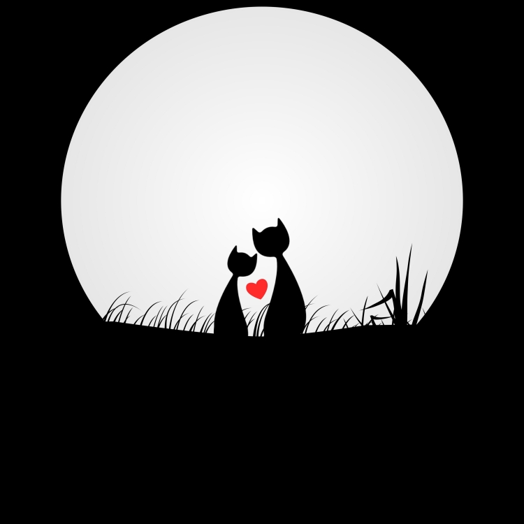 Кот на луне рисунок