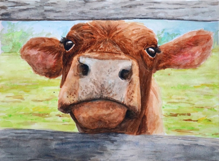 Рисунок коровы голова