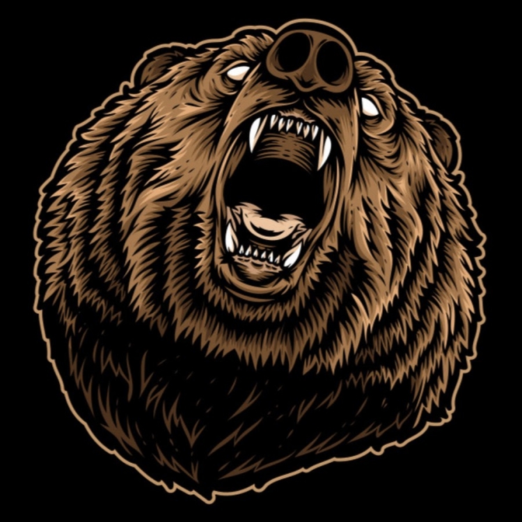 Рычащий медведь рисунок