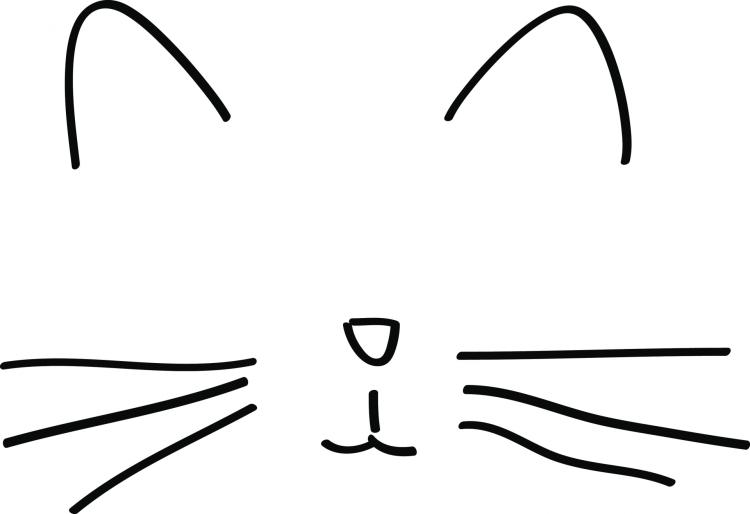 Кошачий нос рисунок