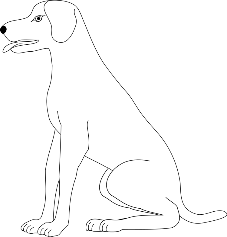 Собака боком рисунок