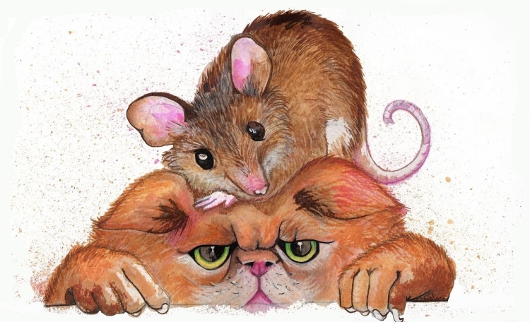Кот и мышка