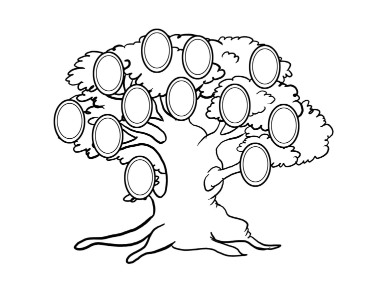 Семейное древо рисунок