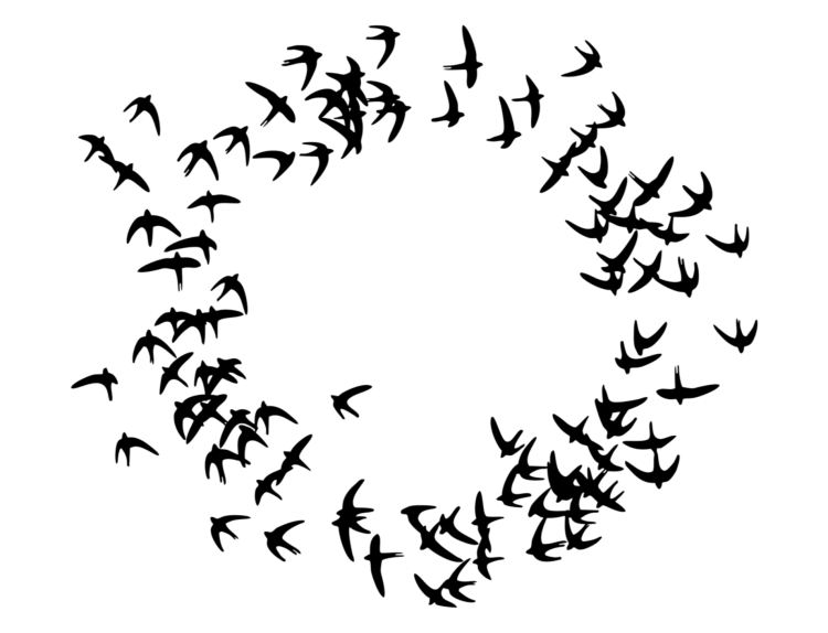 Стая птиц вектор
