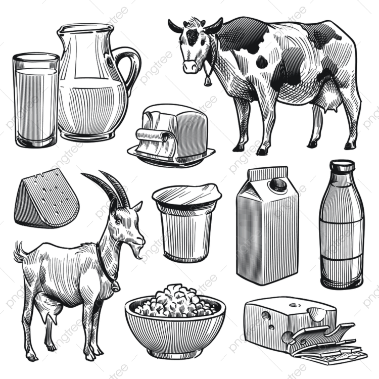 Рисовать молочные продукты