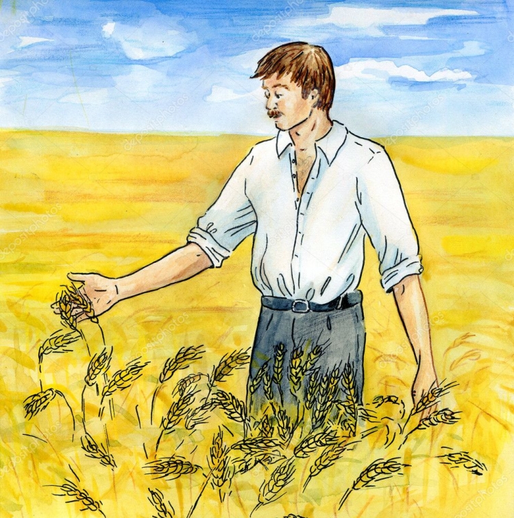Коса косить траву