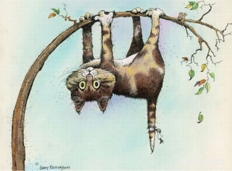 Кот на ветке