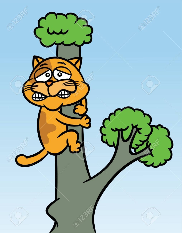 Кошка взбирается на дерево