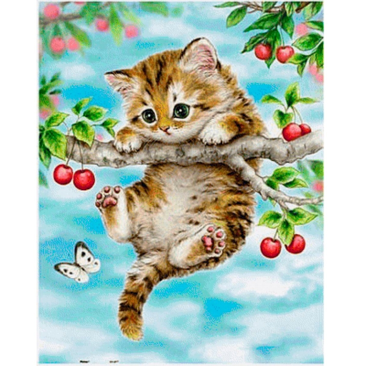 Котенок на ветке