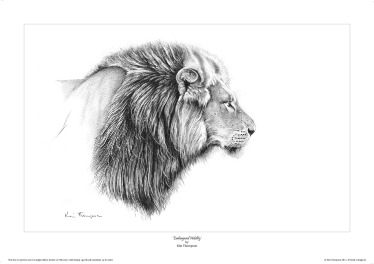 Лев в профиль рисунок