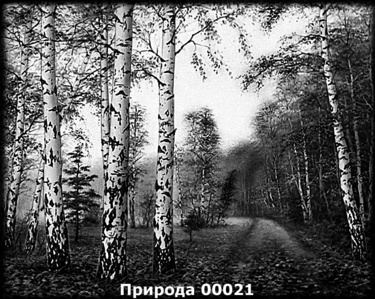 Пейзаж для гравировки