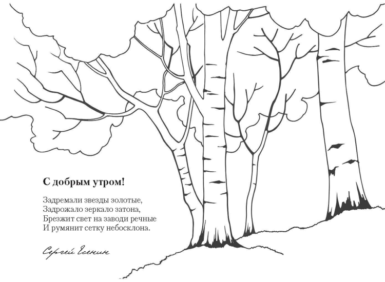 Раскраски по стихам Есенина