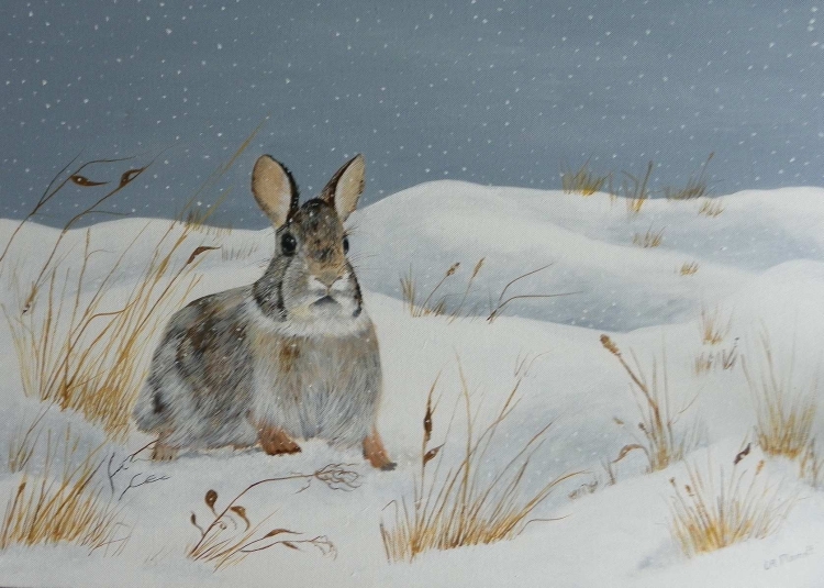 Заяц на снегу рисунок