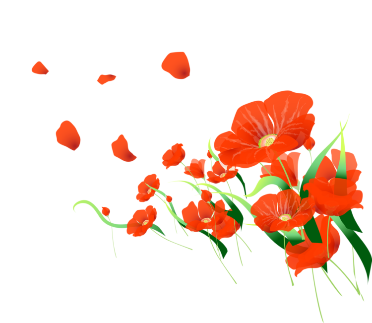 Фон бабочки